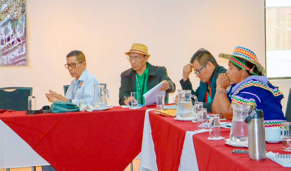 Agenda interinstitucional COONAPIP