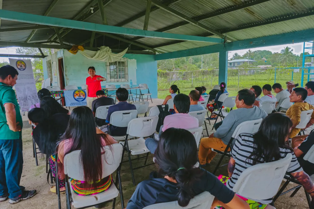 Actividad COONAPIP