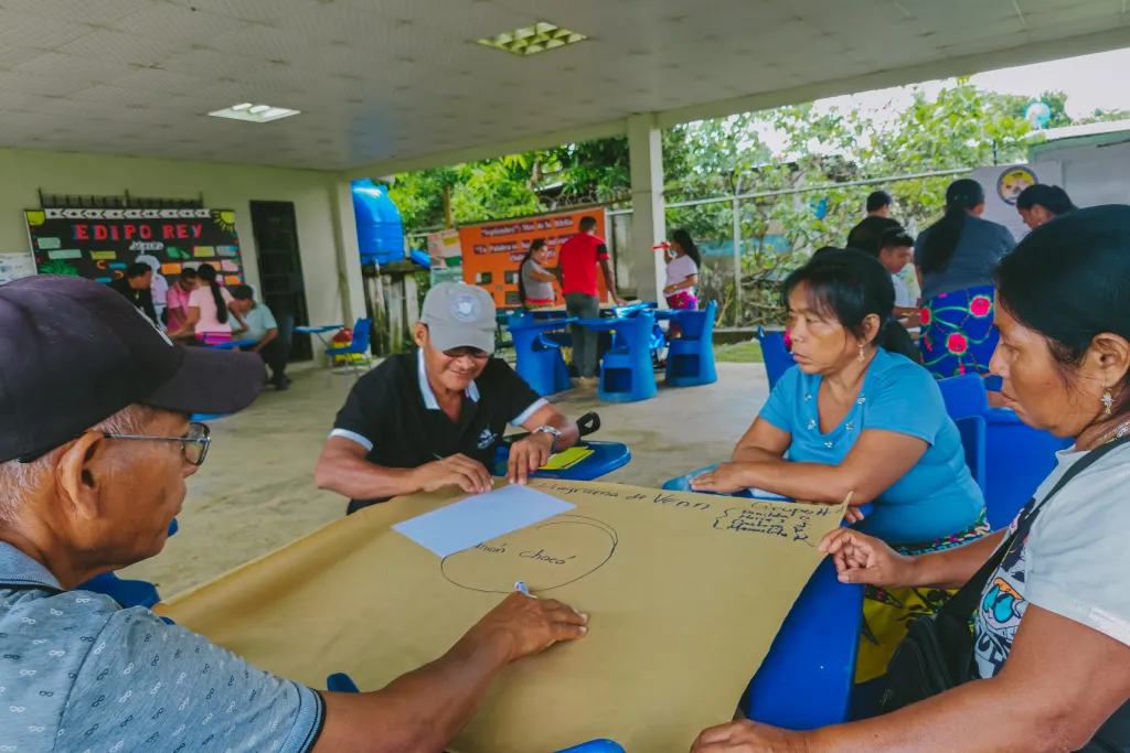 Actividad COONAPIP