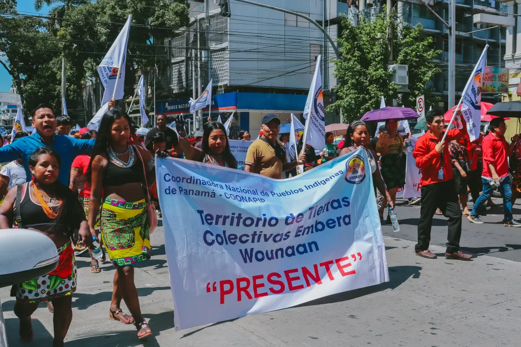Actividad COONAPIP