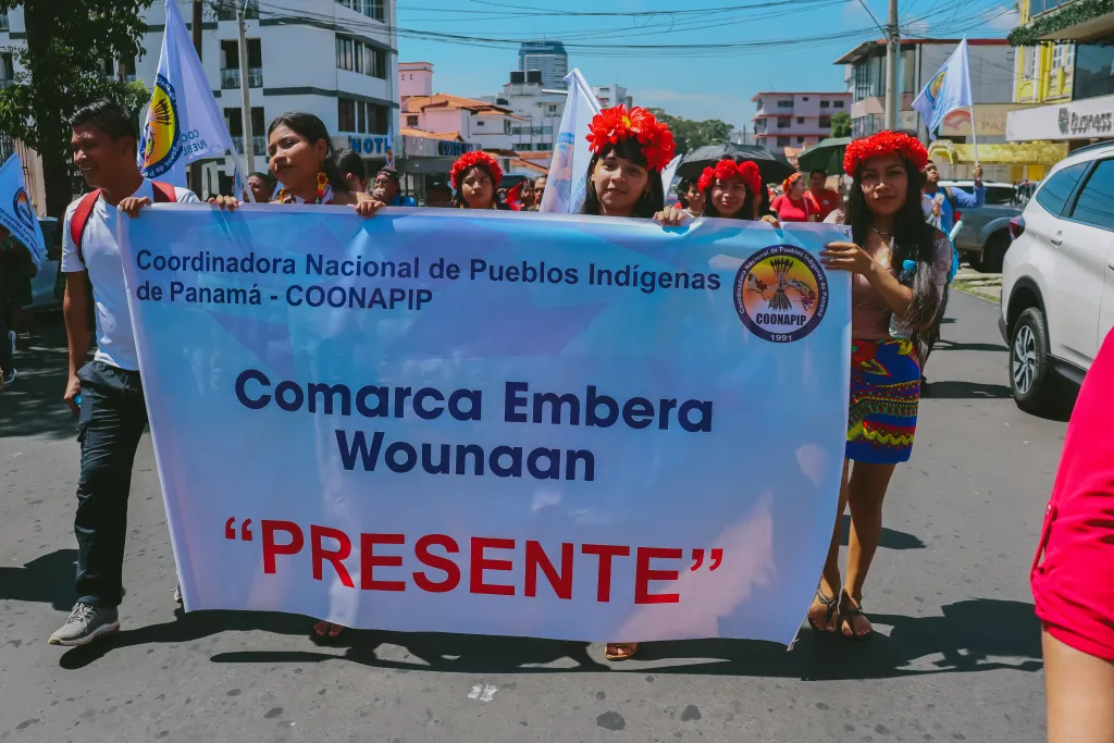 Actividad COONAPIP